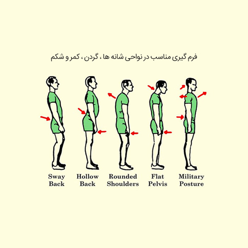 royal-posture-medical-hamstring-3